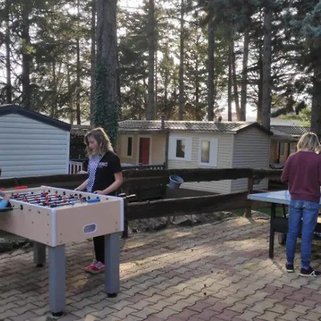 Mobil-home Confortable Avec Terrasse A - Api-1-52-358